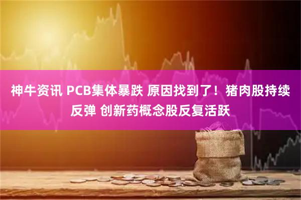 神牛资讯 PCB集体暴跌 原因找到了！猪肉股持续反弹 创新药概念股反复活跃