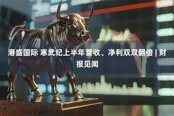港盛国际 寒武纪上半年营收、净利双双翻倍 | 财报见闻